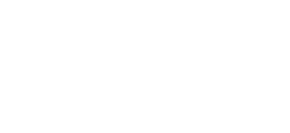پے پیس logo