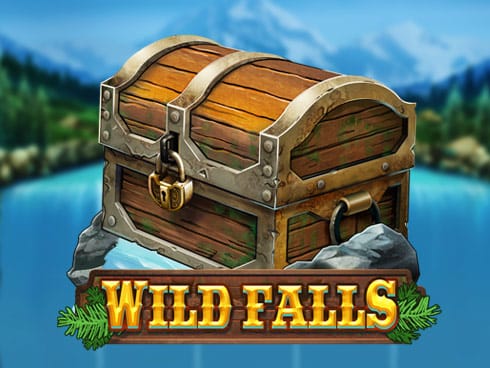 Wild Falls game cover